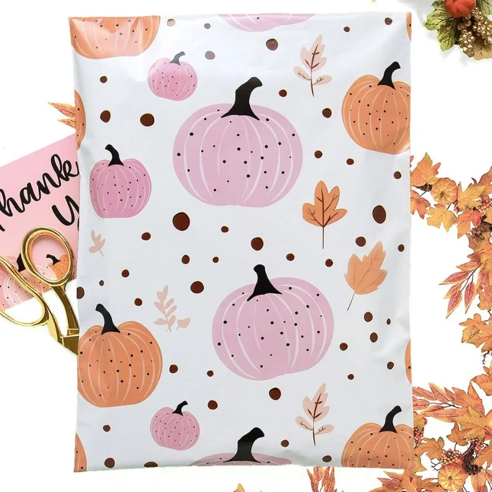 25 Pumpkins 10x13 designer poly mailer